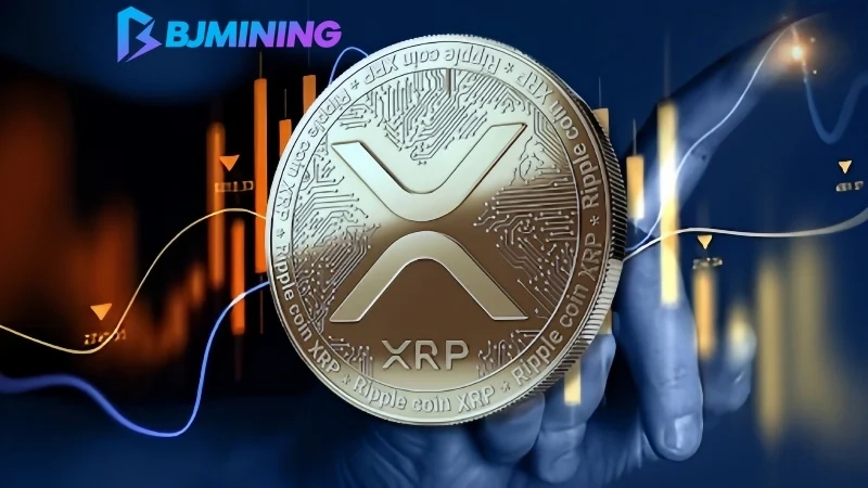 Unlock XRP Passive Income Potential with BJMining Cloud Mining Platform