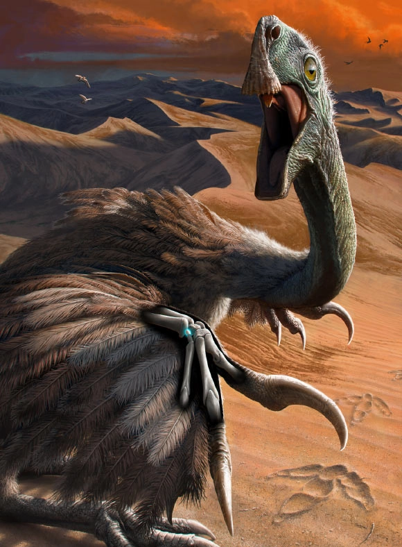 Pisiform Bone: Key to Dinosaur Flight Evolution Revealed by Yale and Stony Brook Researchers