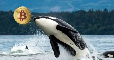 Satoshi-Era Bitcoin Whale Moves $1B to Galaxy Digital: Latest Crypto News