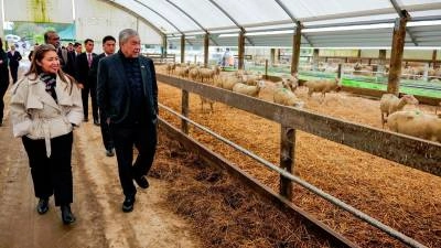 Boosting Bilateral Relations: Ahmad Zahid's Key Engagements in New Zealand