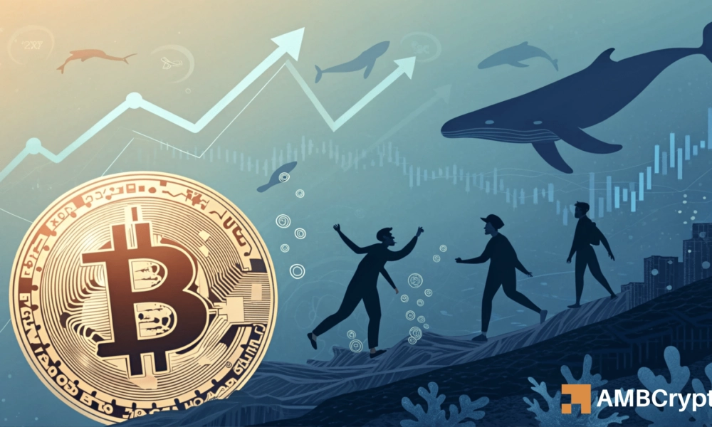 Bitcoin Price Rally Supported by Dropping Whale Deposits and Stablecoin Inflows
