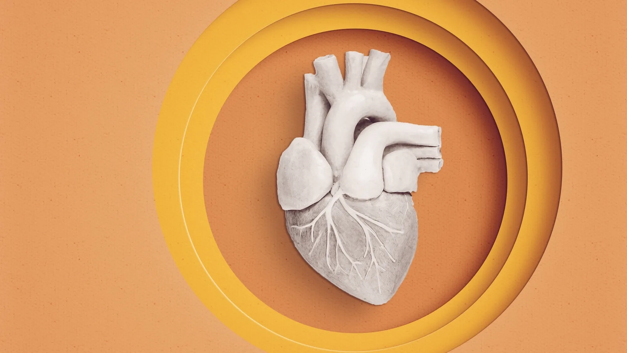 Revolutionary Heart Transplant Techniques Unveiled in NEJM's Latest Issue