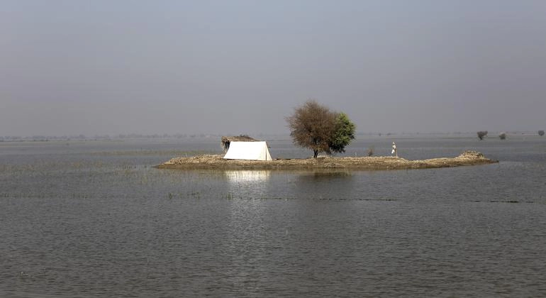Pakistan Braces for Devastating Floods: 63 Dead, 290 Injured in Punjab