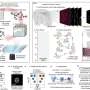 Revolutionizing Disease Diagnosis: PathoPlex Unveils Breakthrough Tissue Analysis Method