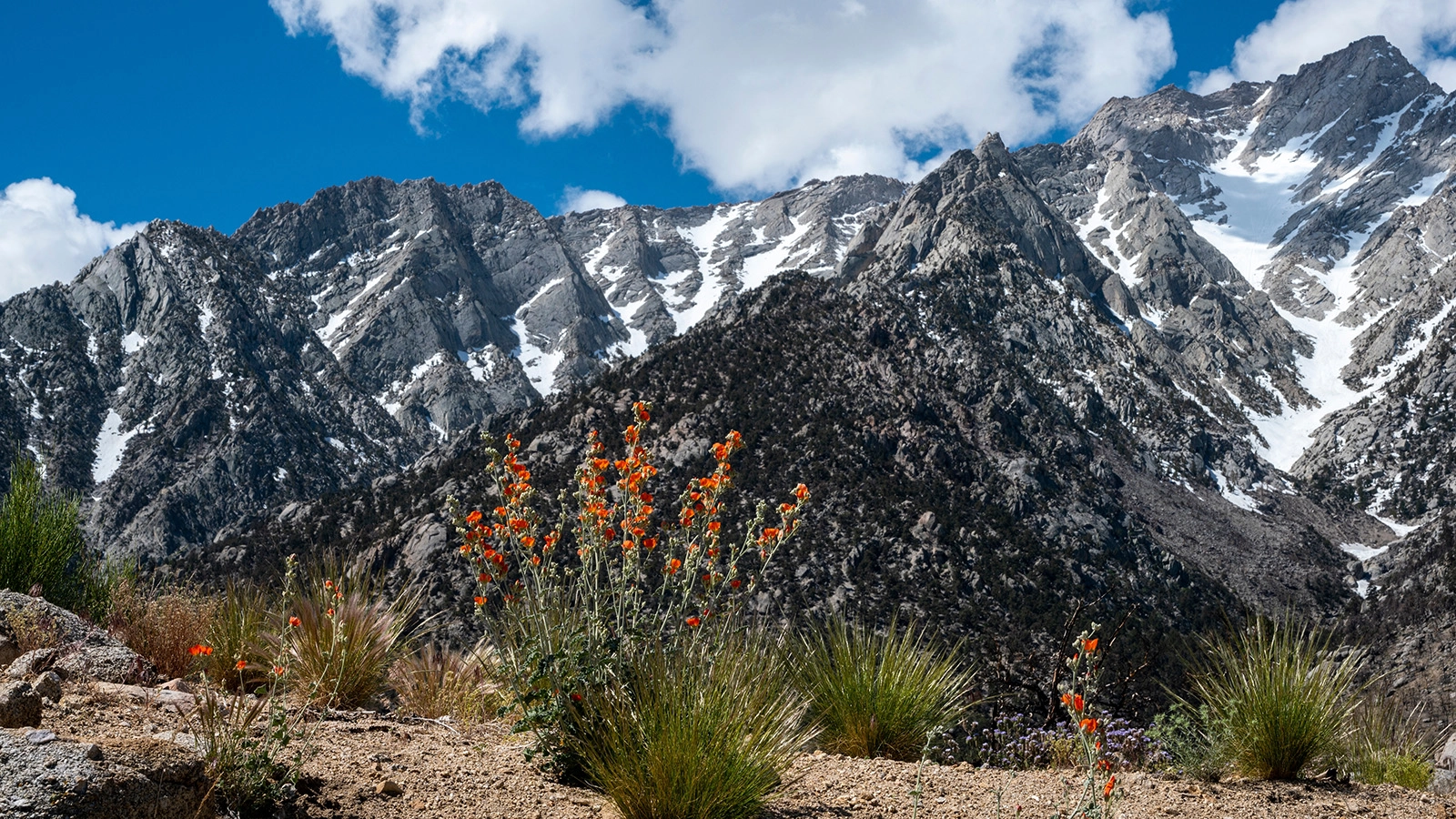 Top Mountainous States in the USA: From Alaska's Denali to Colorado's Rockies