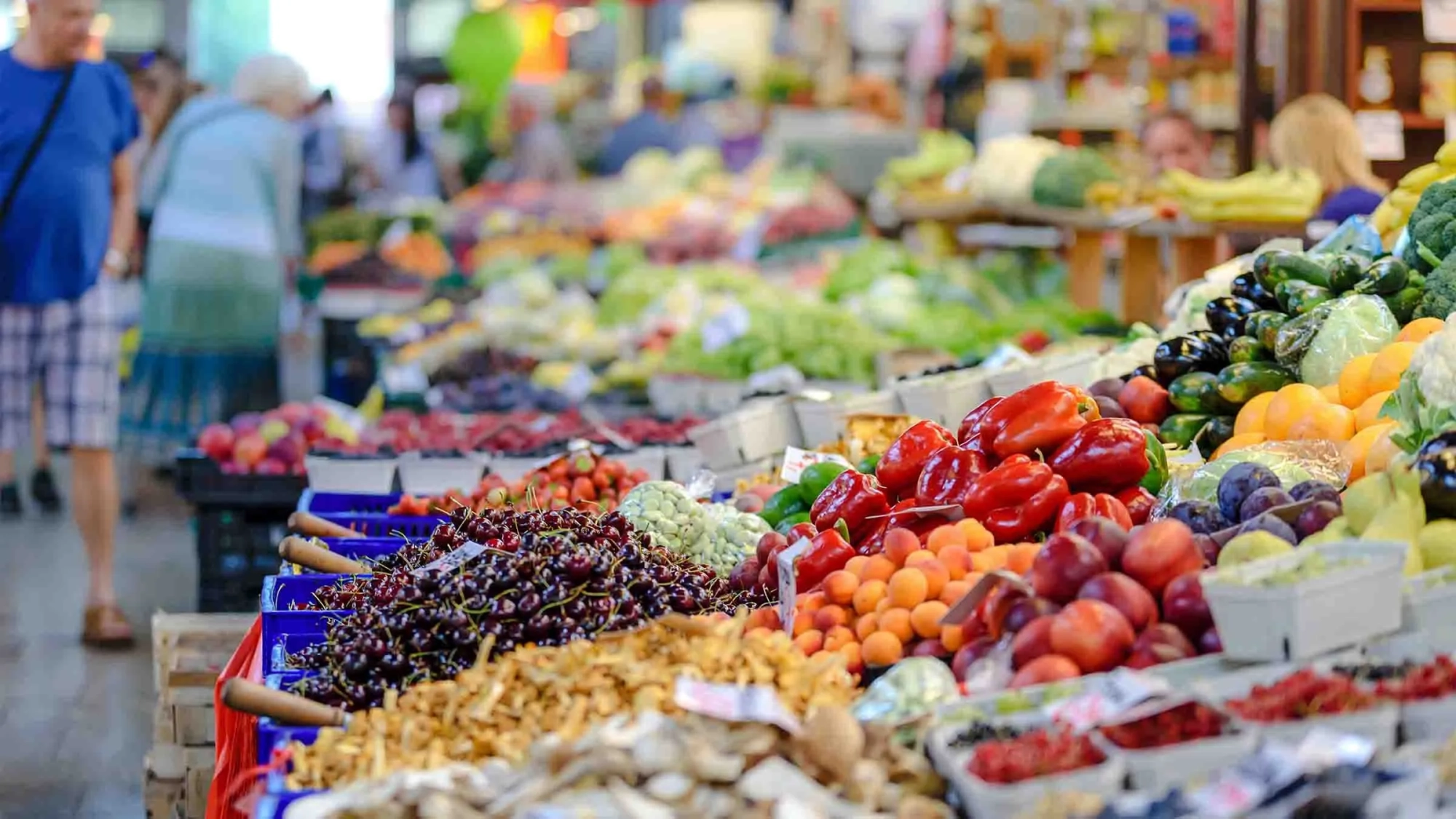 Surging Obesity Rates in Canada: Urgent Call for Food System Overhaul
