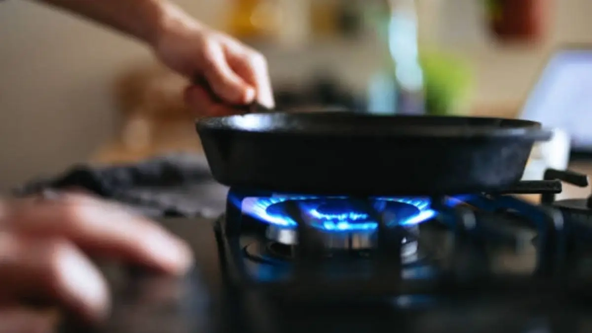 PNGRB Orders Gas Retailers in Delhi to Charge Uniform Price for Natural Gas Supply