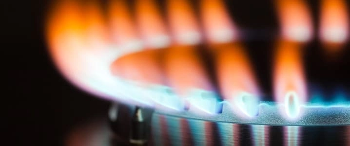 Biomethane: The Rising Star of Decarbonization Beyond Energy