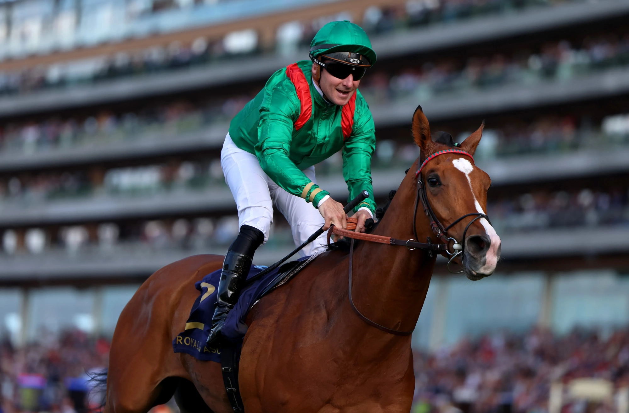 Royal Tune Rhyme: Ascot's King George Day & Hackwood Highlights
