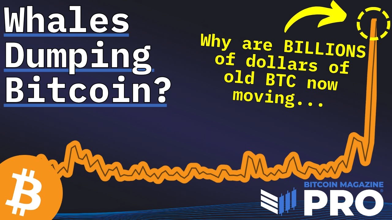 Bitcoin Analyst Unveils Surprising Insights on 80,000 BTC Movement