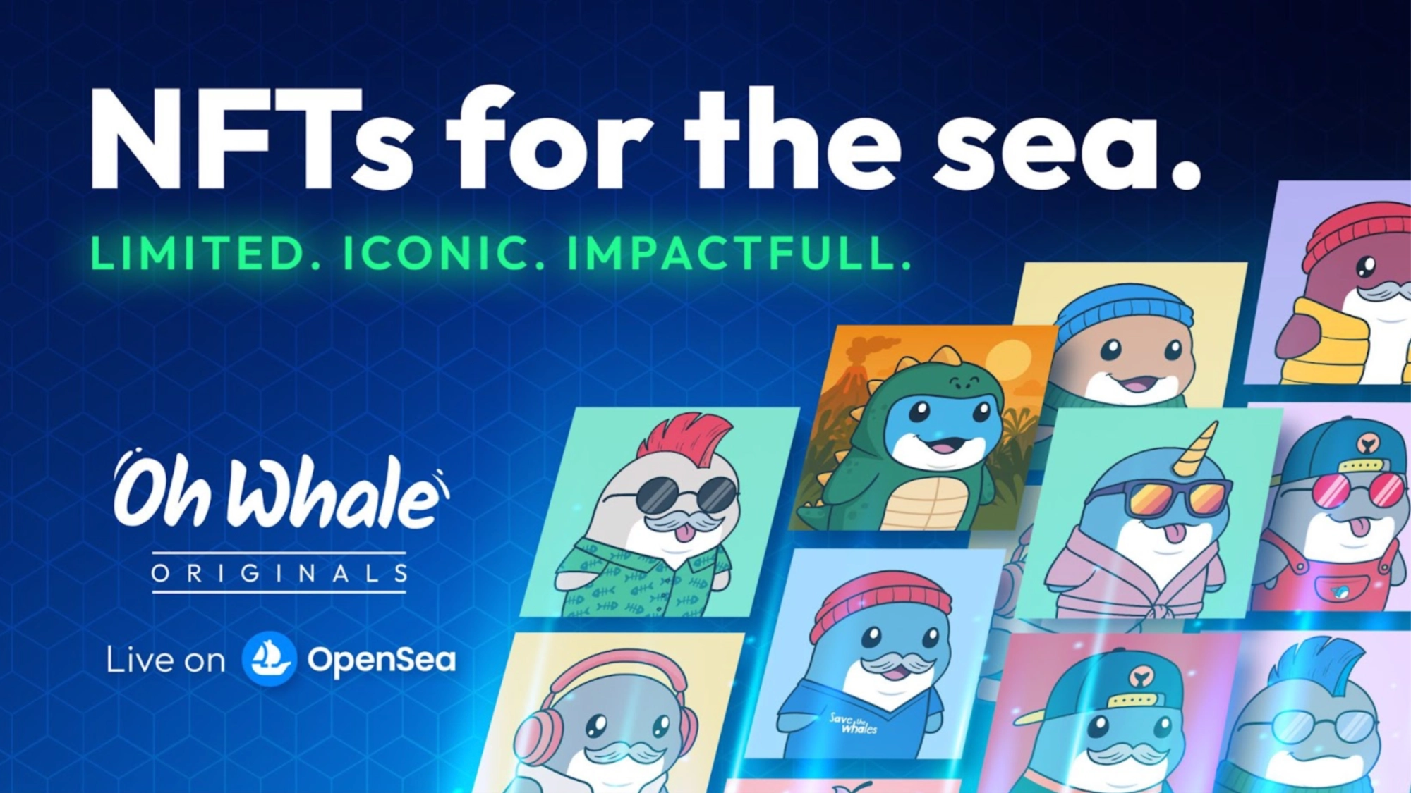 Explore Oh Whale Originals NFT Collection on OpenSea for Community-Led Conservation Funding