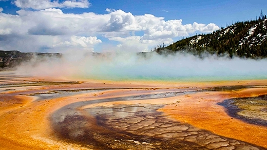 Grand Prismatic Spring: Organism Thriving with Dual Respiration Secrets