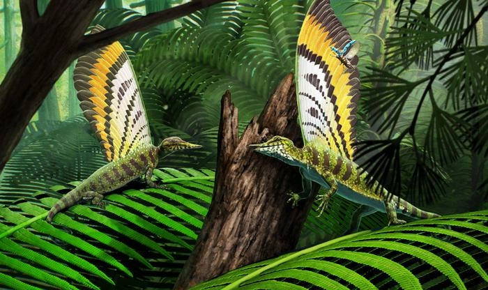 Prehistoric Reptile Mirasaura Sported Feather-Like Structures Before Dinosaurs - New Study Reveals