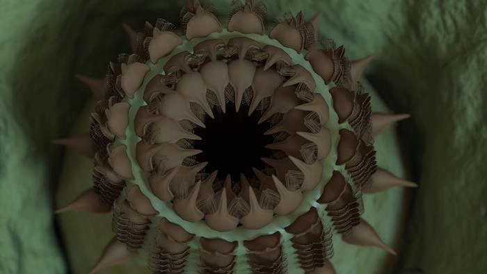 Discover the Grand Canyon's Extinct Kraytdraco Spectatus Worm