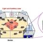 Automated IntelliCage System Enhances Schizophrenia Research in Mice