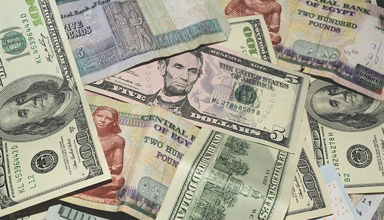 Egyptian Pound Surges Against Dollar: Sustainable Rally or Temporary Boost?