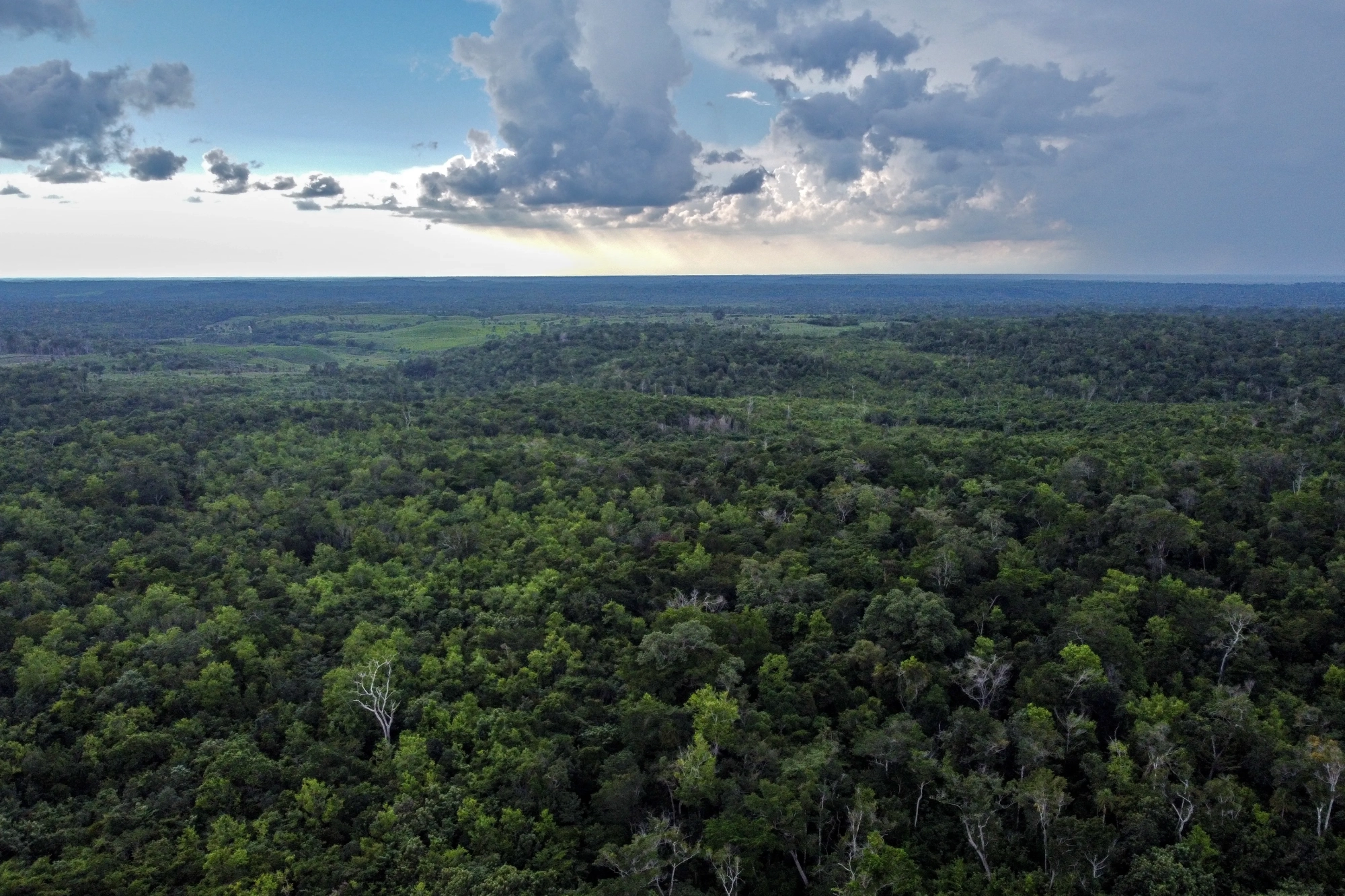 Saving Wildlife: How Humans Provide Water Relief in Hot Climates
