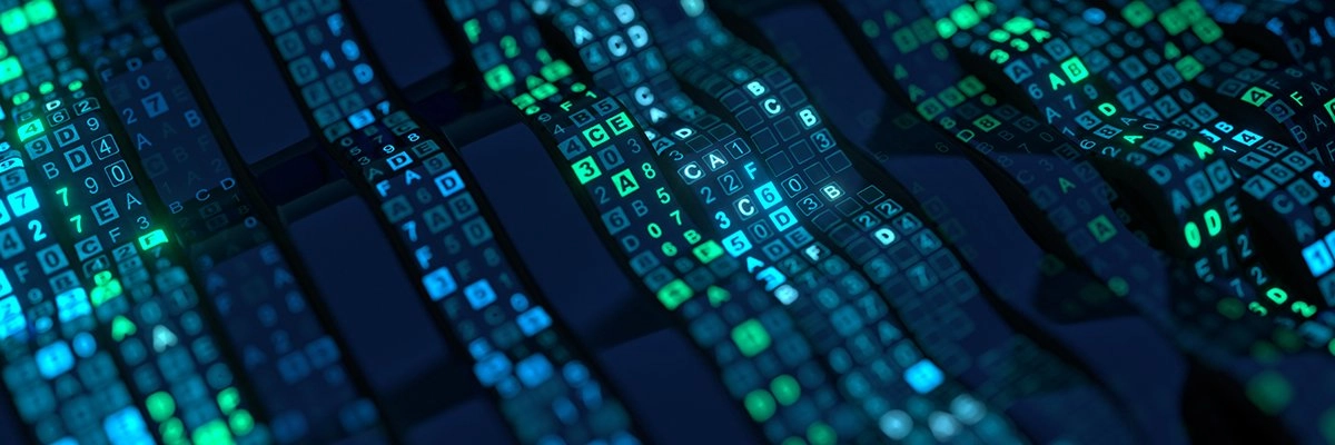 Unpacking the Effectiveness of OWASP Top 10 in Driving Secure Software Development