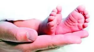 Visakhapatnam Fertility Scam: Crackdown Reveals Regulatory Gaps