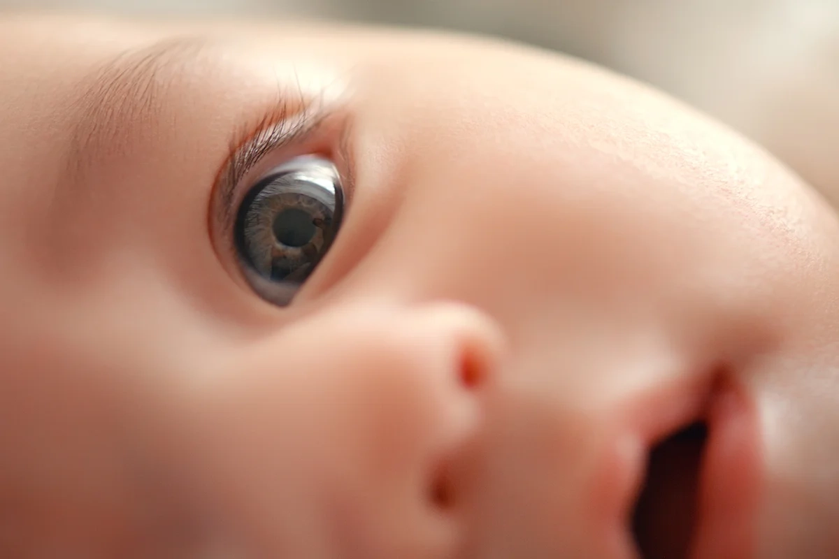 Nucleus Embryo: The Ethics of Genetic Optimization in Parenting