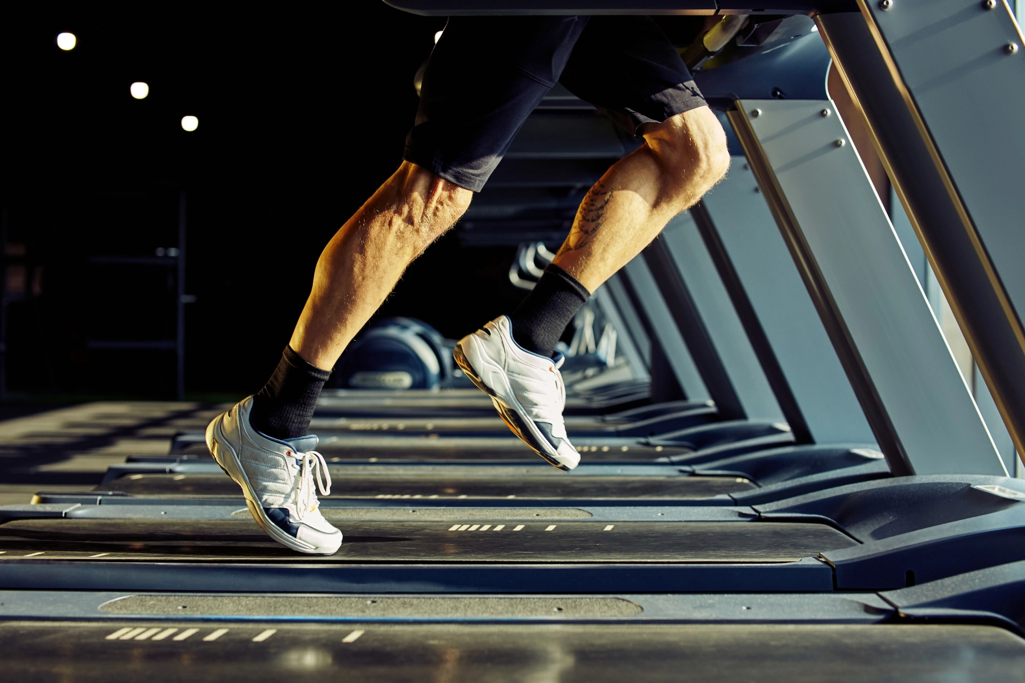 Calculate Your Total Daily Energy Expenditure with TDEE Calculator