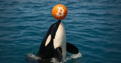 Galaxy Digital Sparks Concerns with $447M BTC Transfer to Exchanges