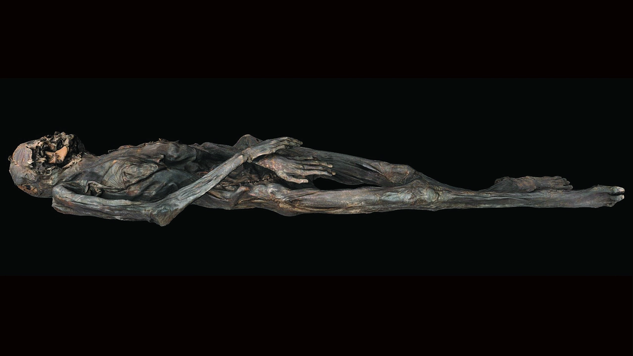 Revealing Ancient Siberian Tattoo Art: 2,300-Year-Old Mummy's Fantastical Animal Imagery Unveiled