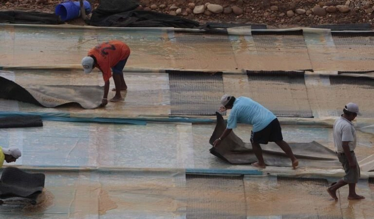 Mexico's Role in Mercury Supply Chain for Gold Mines Revealed