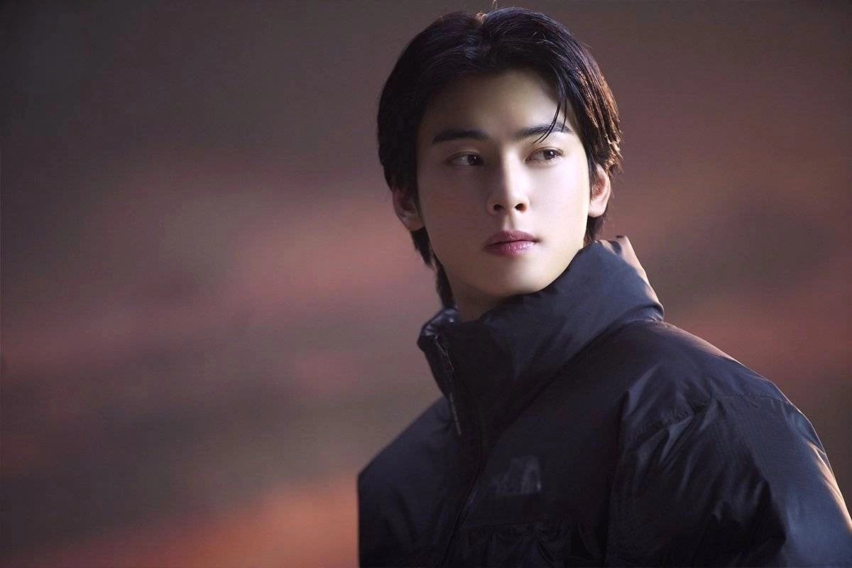Cha Eun-woo's Military Enlistment Leaves Fans Heartbroken: A Look Back at His Top 5 Acting Roles