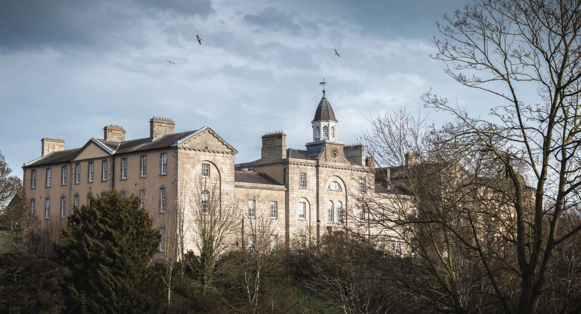 67% of Sexual Offence Cases Not Prosecuted by DPP: Impact on Survivors Revealed