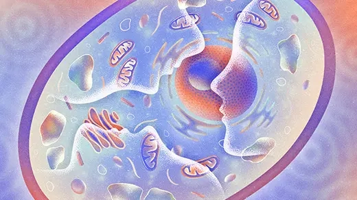 Can Single Cells Learn and Remember? New Research Reveals Surprising Findings