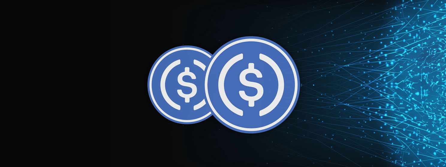 Unraveling the Chaos: The Truth About Stablecoin Fragmentation