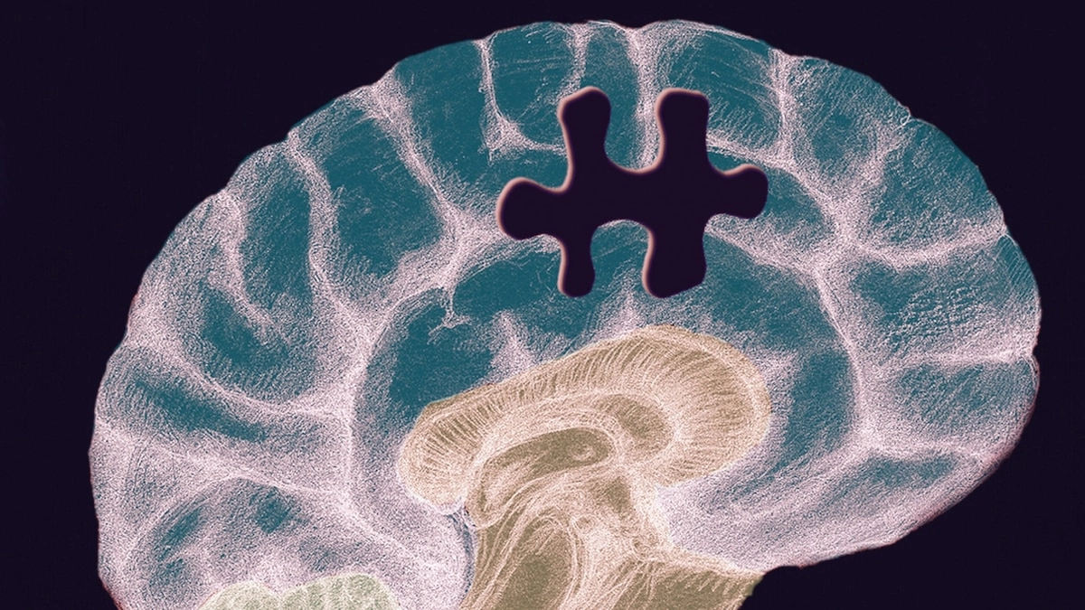 Boost Your Memory with Science-Backed Strategies: Make Meaningful Connections & Space Out Study Sessions