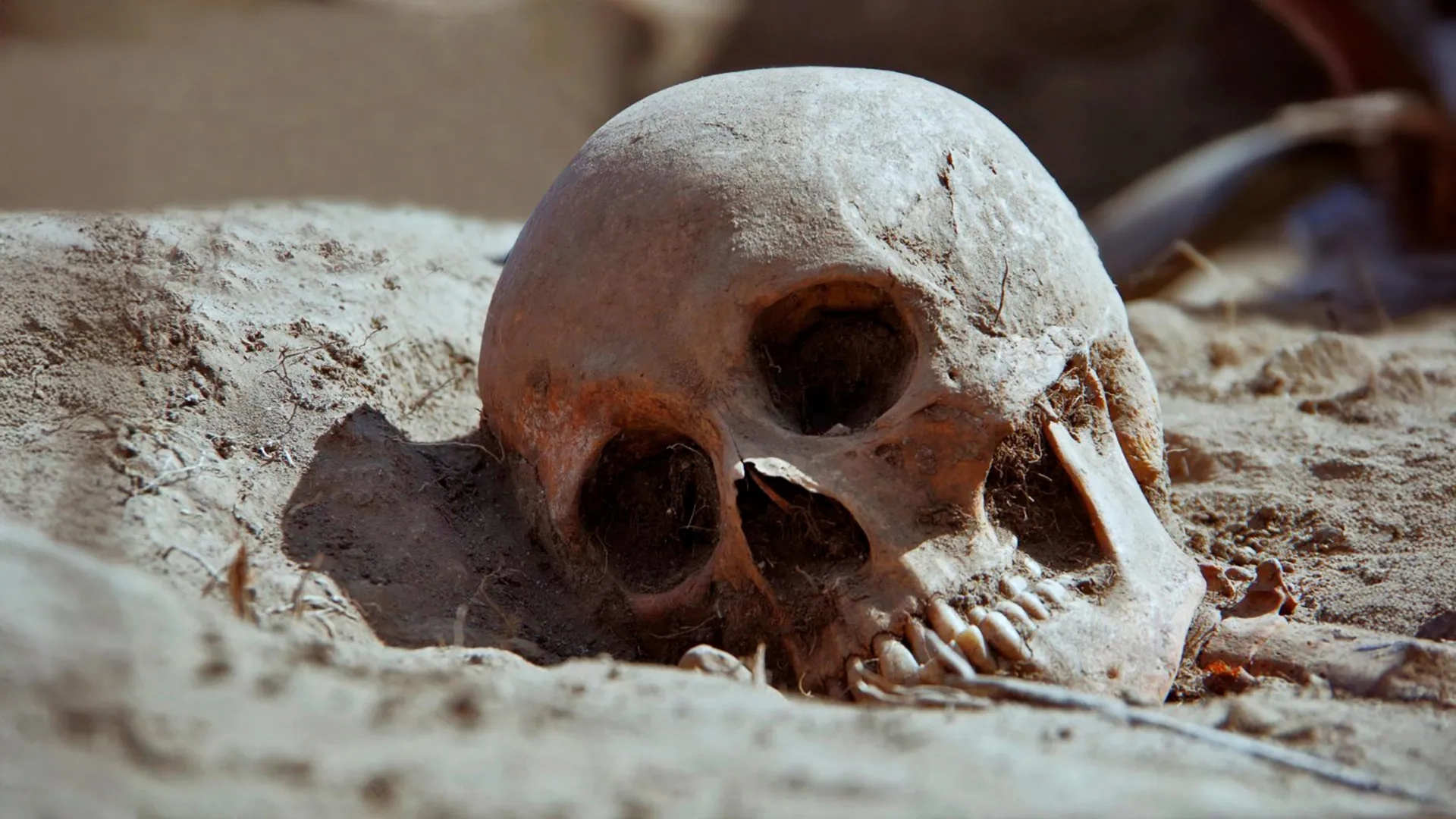 Earliest Evidence of Betel Nut Chewing Found in 4,000-Year-Old Thai Teeth