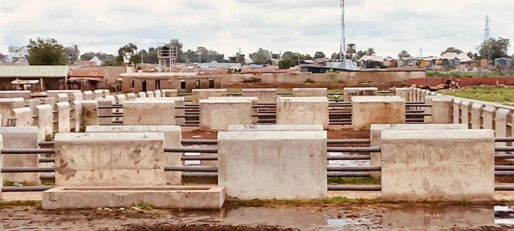 Adamawa State Government's Agribusiness Transformation: A Strategic Investment in Livestock Infrastructure