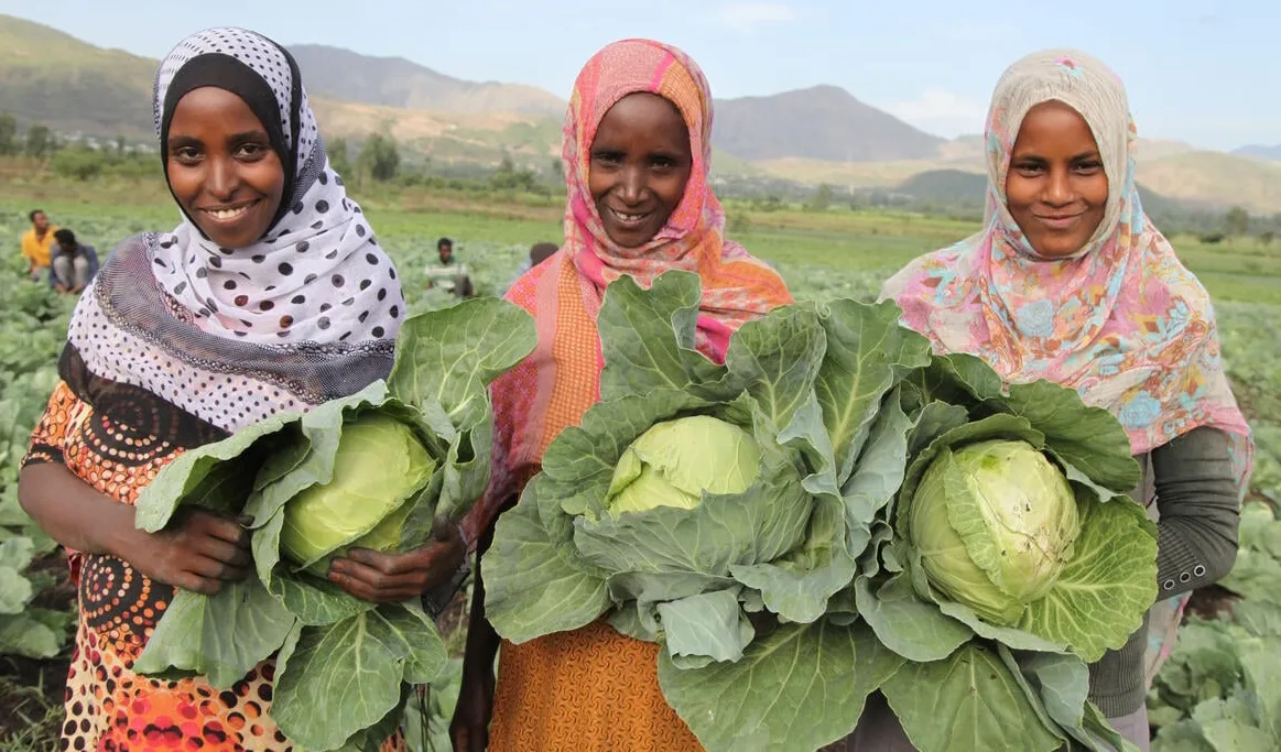 Africa Hosts UN Food Systems Summit: Key Highlights and South Africa's Commitment