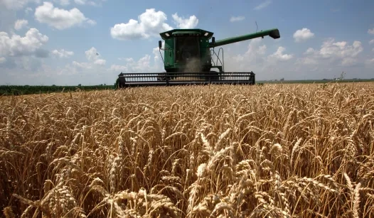 Chinese Agricultural Espionage Threatens U.S. Farm Security