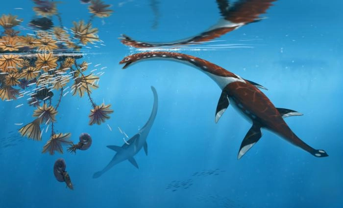 Newly Discovered Plesiosaur Species Revealed in German Fossil Beds