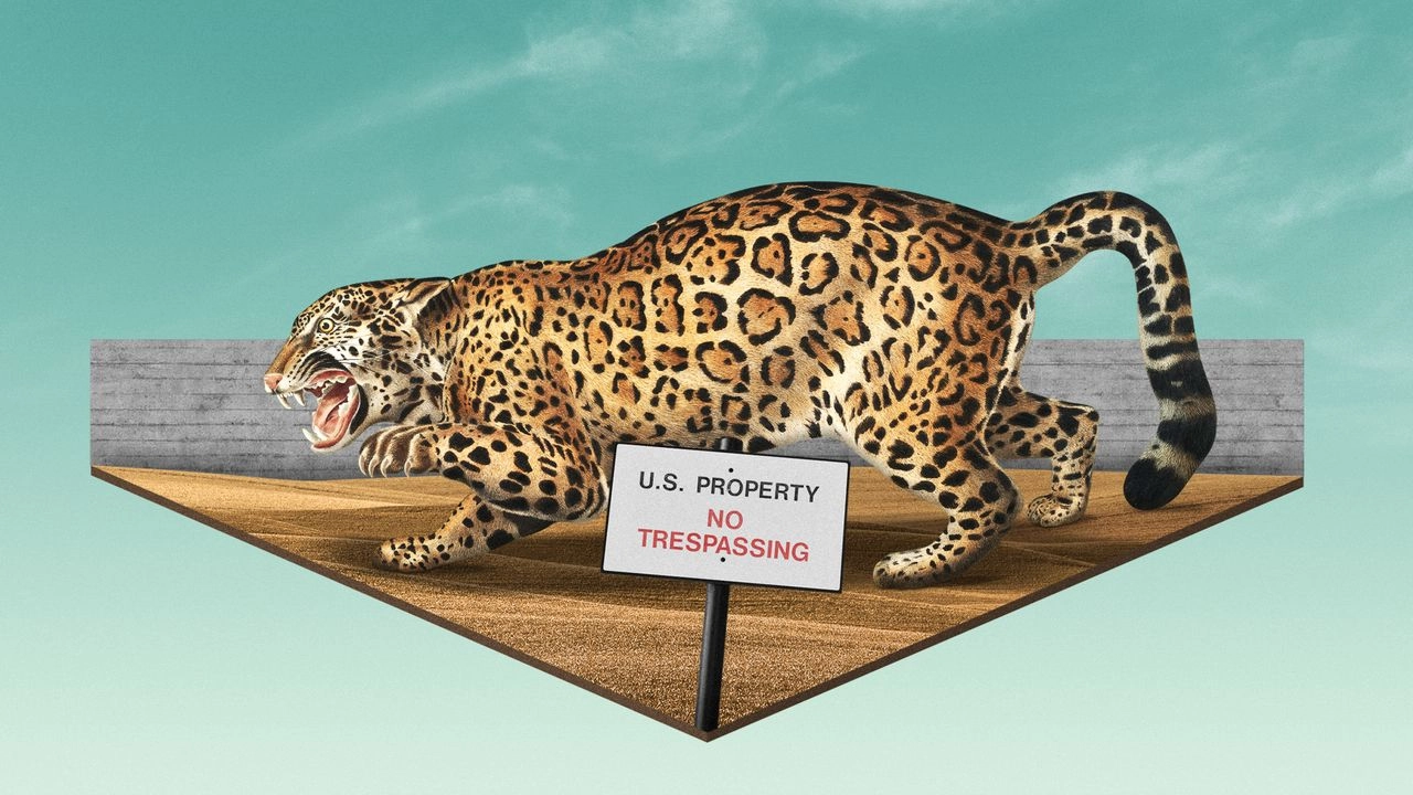 Trump's U.S.-Mexico Border Wall Threatens Arizona Wildlife - Devastating Impact on Endangered Species
