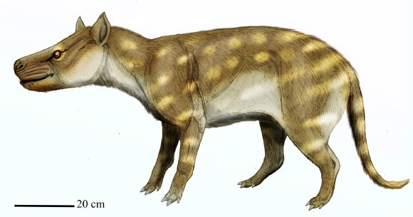 PETM Reveals Ancient Mammal's Bone-Eating Habit: A Lesson for Future Survival
