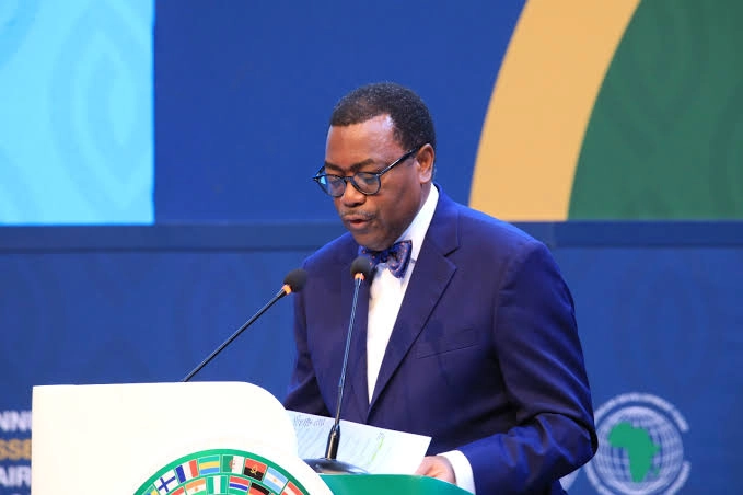 Africa Development Bank President Calls for Massive Investment in Renewable Energy to Bridge Electricity Gap