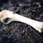 Understanding the Science Behind Starvation: What Happens to Your Body Without Food