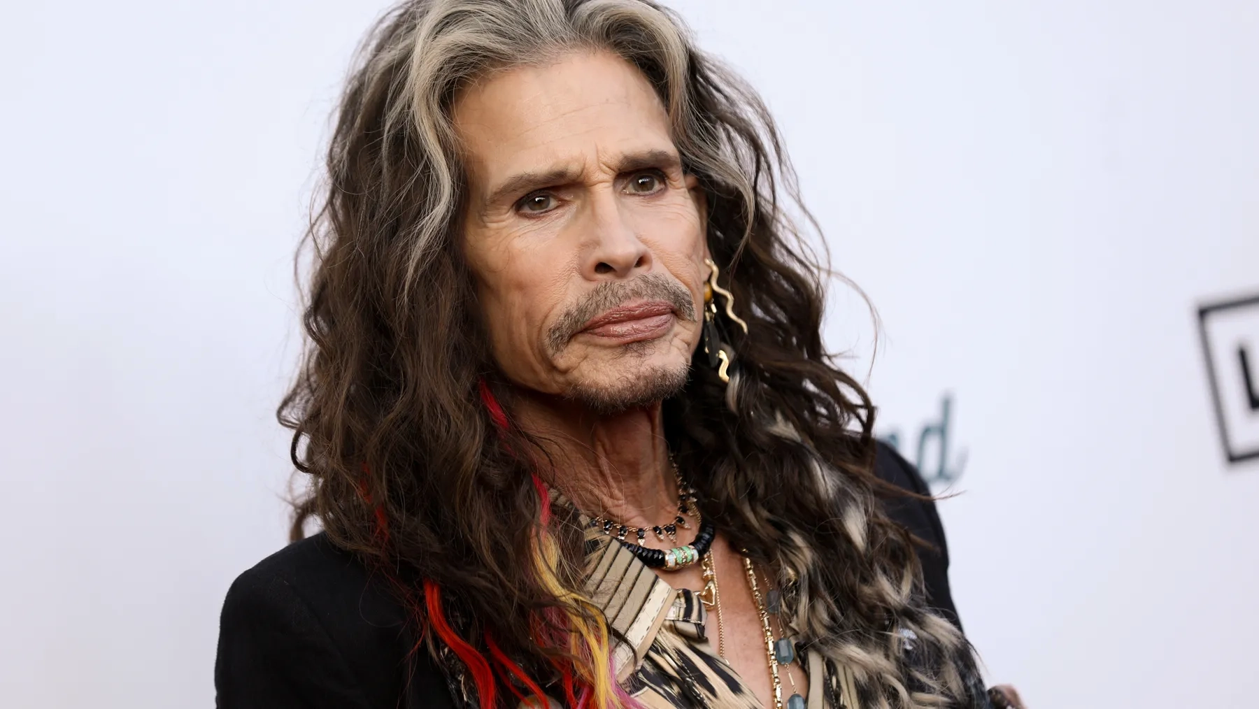 Julia Misley Responds to Steven Tyler's Attempt to Dismiss Lawsuit