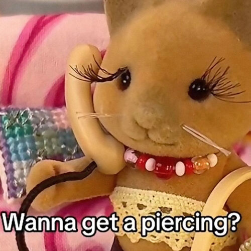 Toy Company Drops Lawsuit Against "Sylvanian Drama" Instagram and TikTok Account