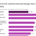 Foreign-Born Noncitizen Workers Impact U.S. Industries: What You Need to Know