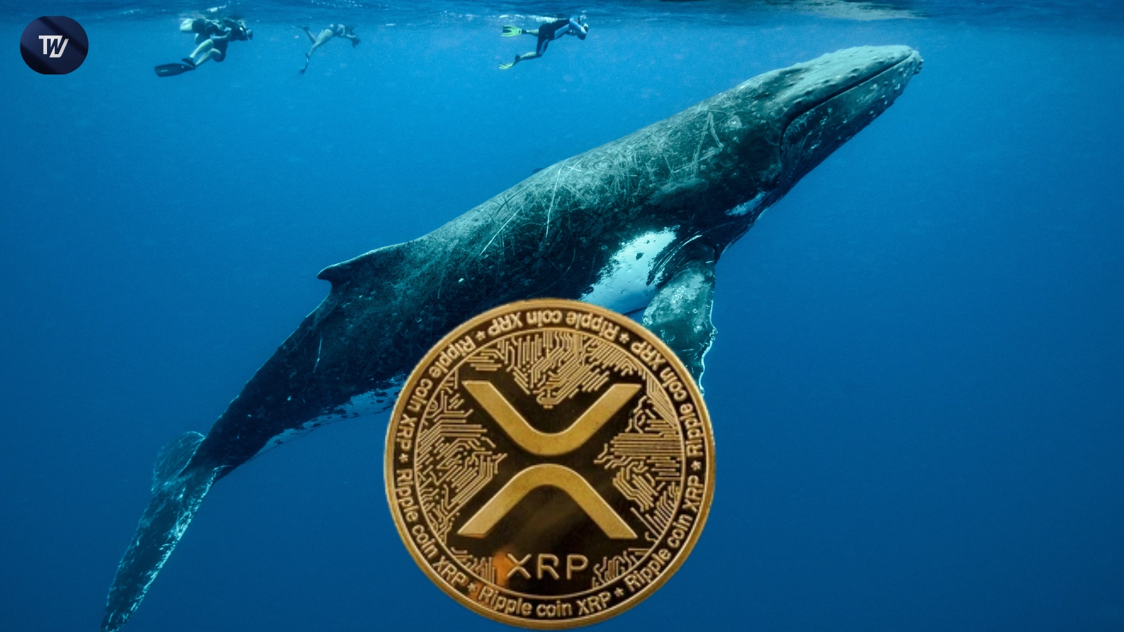 XRP Whales Accumulate 900 Million Tokens, Price Stabilizes at $3.14