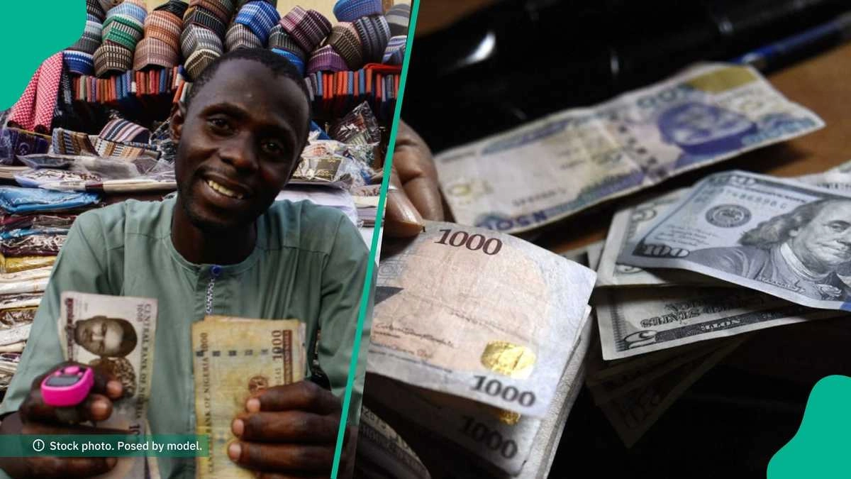 Naira Appreciates by 0.02% to Close at N1,535/$1: CBN Interventions Boost Exchange Rate