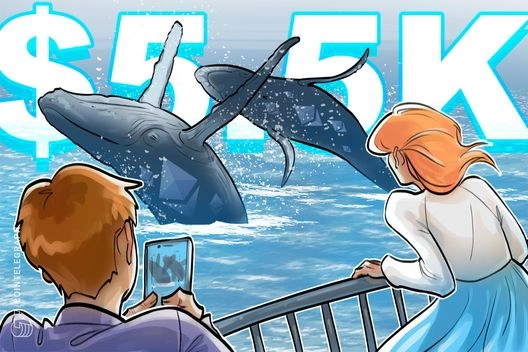 Bitcoin and Ether Weekly Update: $114,000 BTC Focus, ETH All-Time Highs