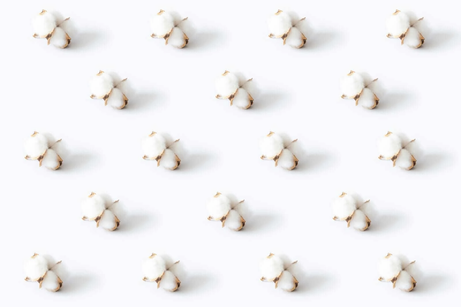Cotton Futures Slip: US Dollar Index Rises, Crude Oil Up $1.40