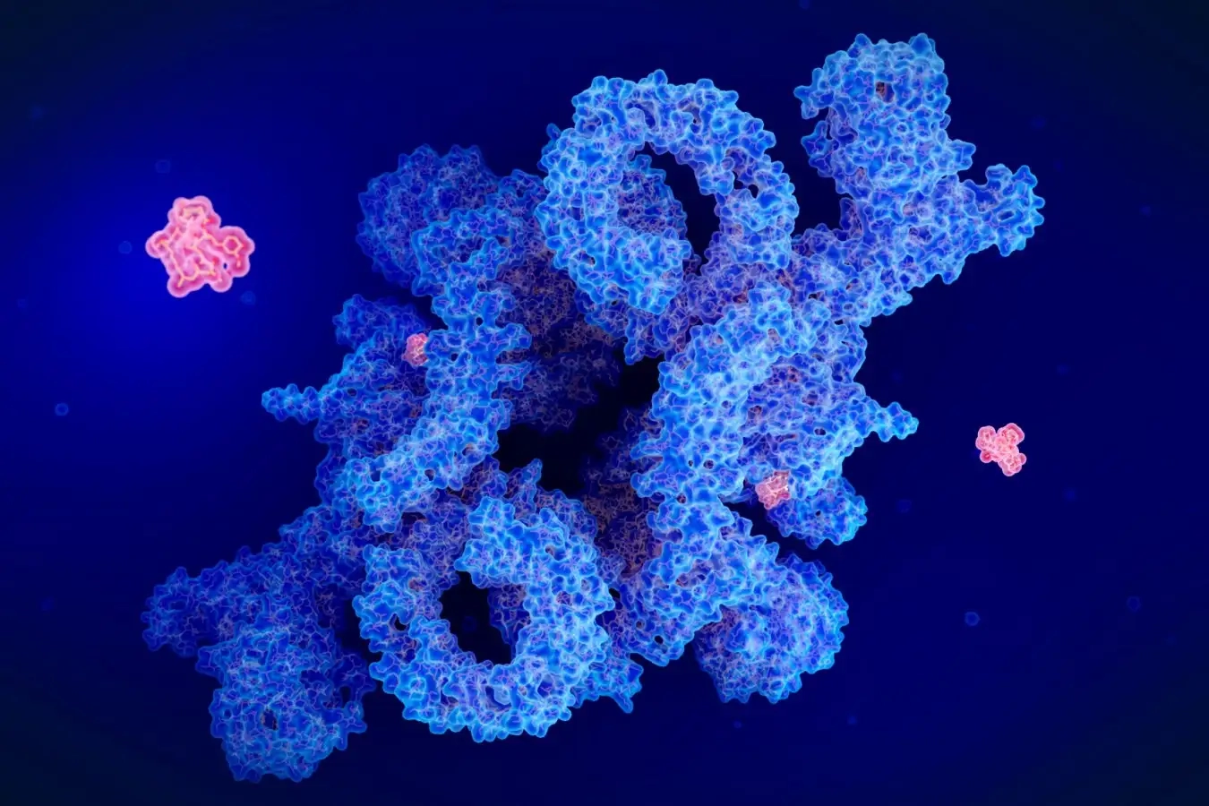 Unlocking the Potential of Rapamycin: Anti-Ageing Effects Revealed!